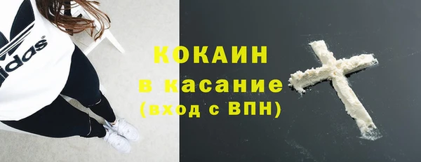твердый Алексин