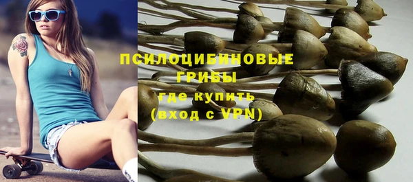 каннабис Алексеевка