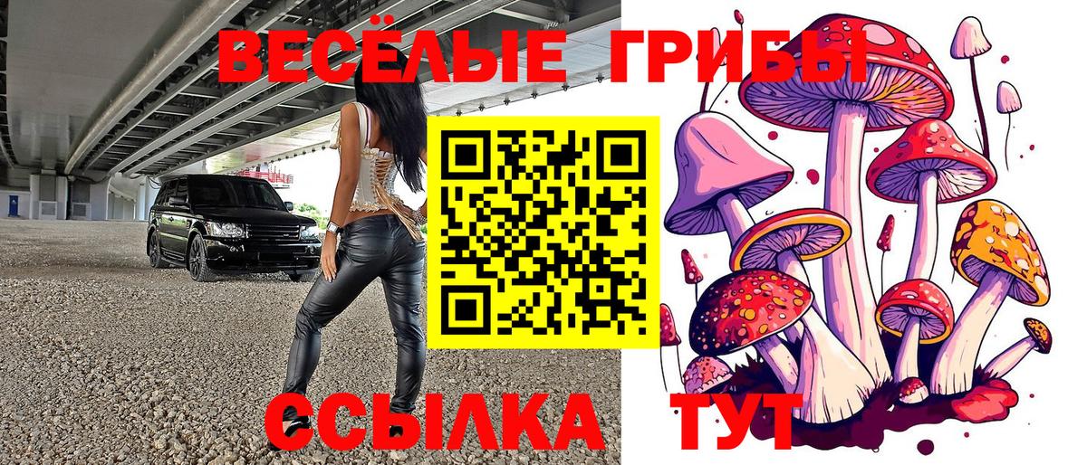 Псилоцибиновые грибы прущие грибы  Псилоцибиновые грибы Cubensis  Белореченск  Вход с VPN 