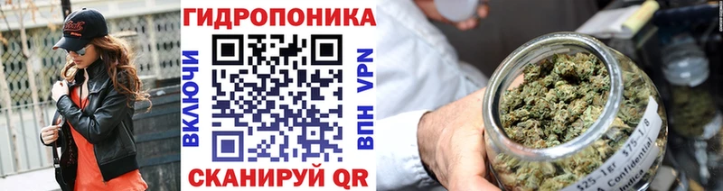 Канабис семена Белореченск